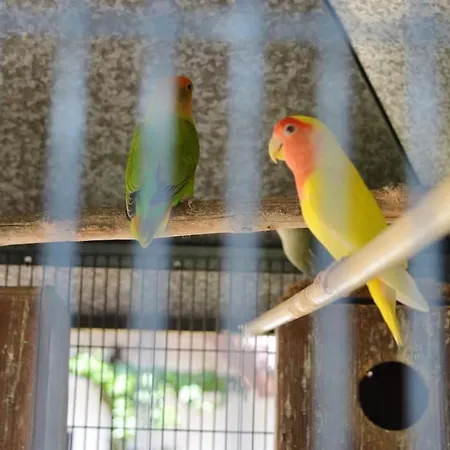 Spacious With Private Pool In Villa *