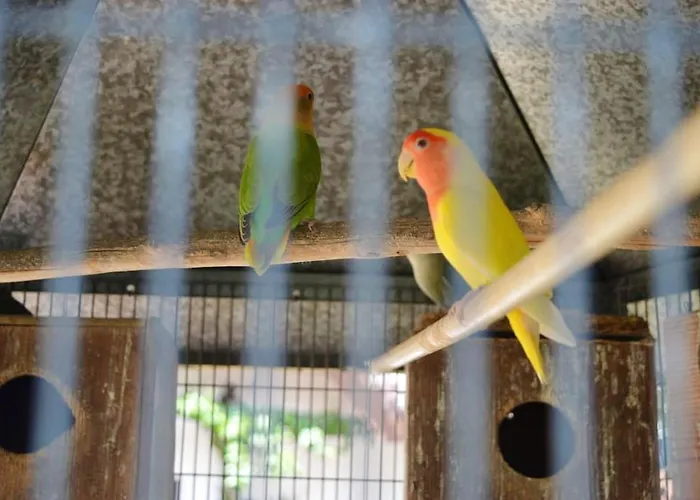 Spacious With Private Pool In Villa *